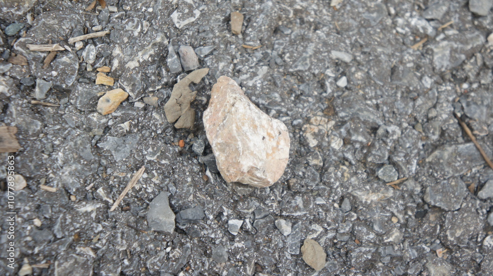 Close-up of Gravel and a Rock Close-up of Gravel and a Rock