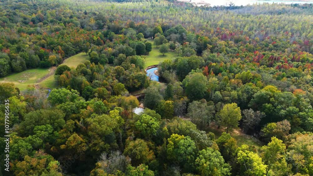 Aerial slow push-in over a forested landscape with a hard-curved river winding through vibrant autumn foliage. The peaceful, expansive view showcases the natural beauty of the countryside. Aerial slow push-in over a forested landscape with a hard-curved river winding through vibrant autumn foliage. The peaceful, expansive view showcases the natural beauty of the countryside.