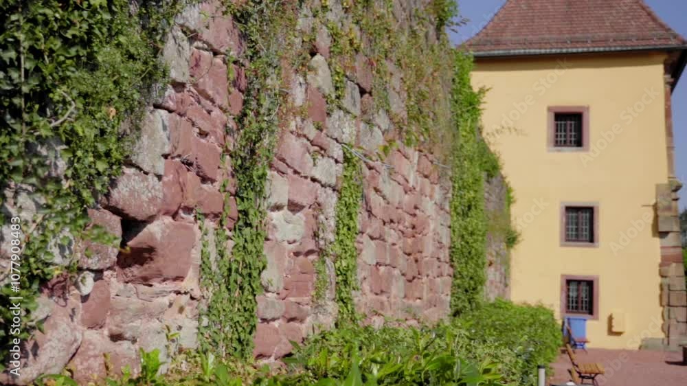 A slow-motion shot of an ivy-covered stone wall leading to the Blieskastel Orangerie in summer, highlighting the texture of traditional architecture and lush greenery under clear skies. A slow-motion shot of an ivy-covered stone wall leading to the Blieskastel Orangerie in summer, highlighting the texture of traditional architecture and lush greenery under clear skies.