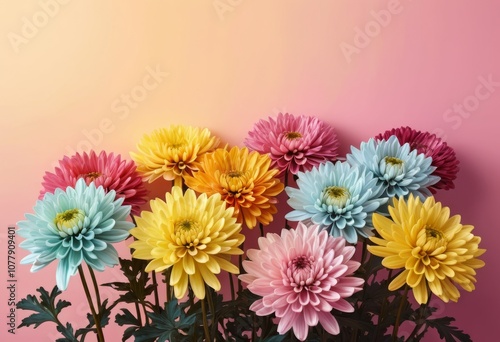chrysanthemum_flower_artistic_minimalist