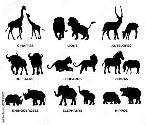 collection of african animal silhouettes vector, safari animals vector silhouette