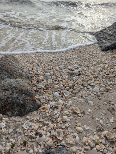 Brown sandy beach with sea shells and waves