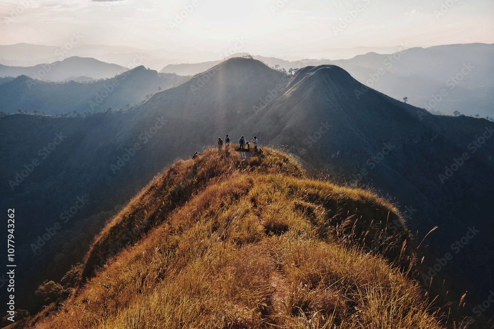 Fototapeta premium landscape in the morning