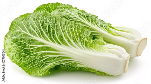 80.A high-resolution image of a fresh Chinese cabbage placed on a white background with extensive copy space. The detailed veins and textures of the vibrant green leaves are captured, making it a