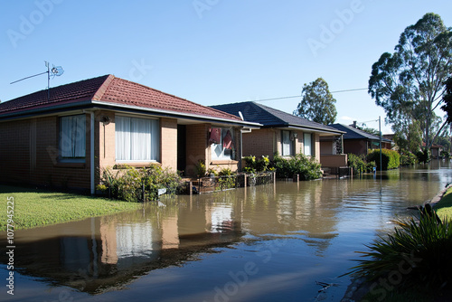 Suburban houses with water up to their windows after a flood