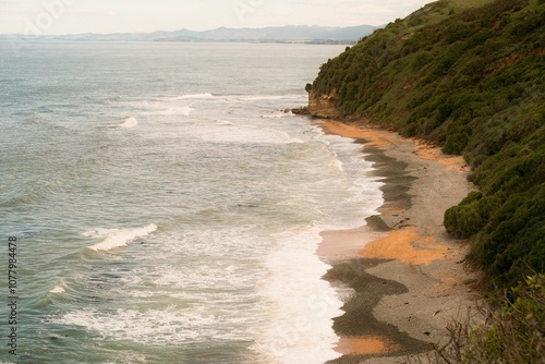 Bushey Beach on a Sunny Day: Idyllic Coastal Scene in New Zealand photo