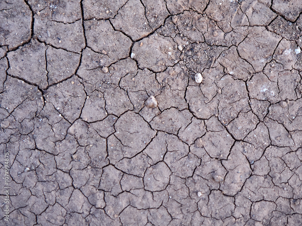 Dry and cracked earth background. Global warming, climate change concept Dry and cracked earth background. Global warming, climate change concept