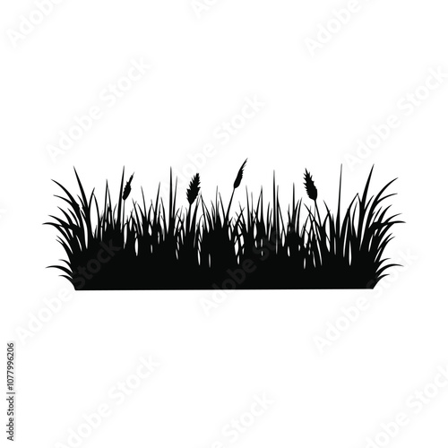 Grass silhouette vector illustration - Grasses Line Clipart Design