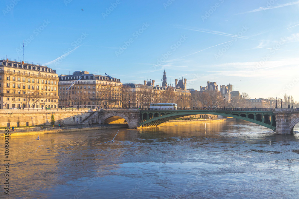 Fototapeta premium view of the river seine in Paris