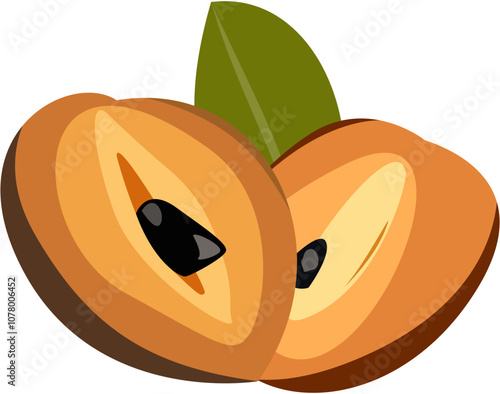 Sapodilla Vector