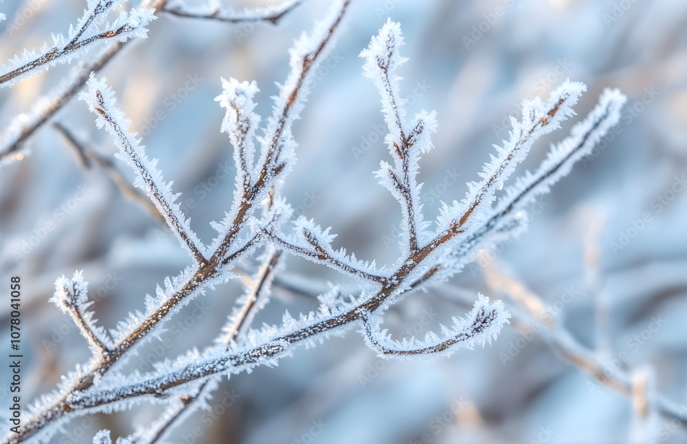 Winter wallpaper wallpapers background backgrounds with branch, ice, frost and bokeh Winter wallpaper wallpapers background backgrounds with branch, ice, frost and bokeh