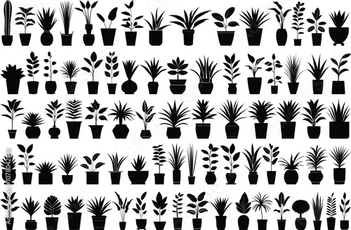 Potted plant silhouette vectors photo