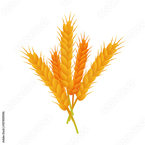 Vector illustration of wheat grain on transparent background