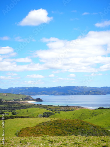 views from the ecology trekking in new zealand