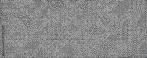 A Fascinating and Beautifully Complex Display of Interwoven Paths and Fractal Networks
