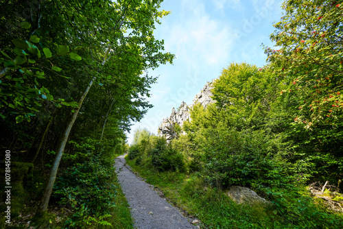 Landscape near Bruchhauser Steine ​​in the Sauerland near Olsberg. Nature at Istenberg on the Rothaargebirge.
 photo