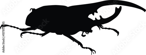 Beetle insect full body silhouette illustration