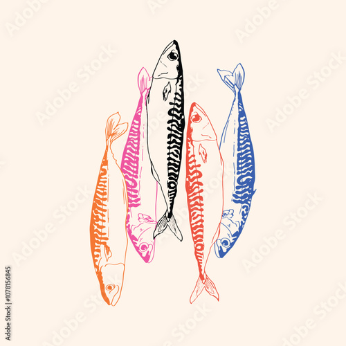 Hand-drawn mackerel illustration