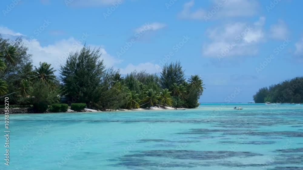 Scenic view of white sand beach, crystal clear turquoise ocean water and palm trees on tropical island of Moorea in French Polynesia, South Pacific Scenic view of white sand beach, crystal clear turquoise ocean water and palm trees on tropical island of Moorea in French Polynesia, South Pacific