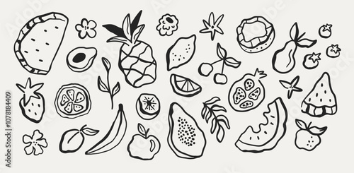 Set of abstract outline drawing fruit in white background. Watermelon, strawberry, pineapple in vintage retro style.
