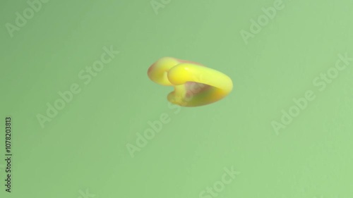 Incredibly liquid beautiful Abstract colorful paint background