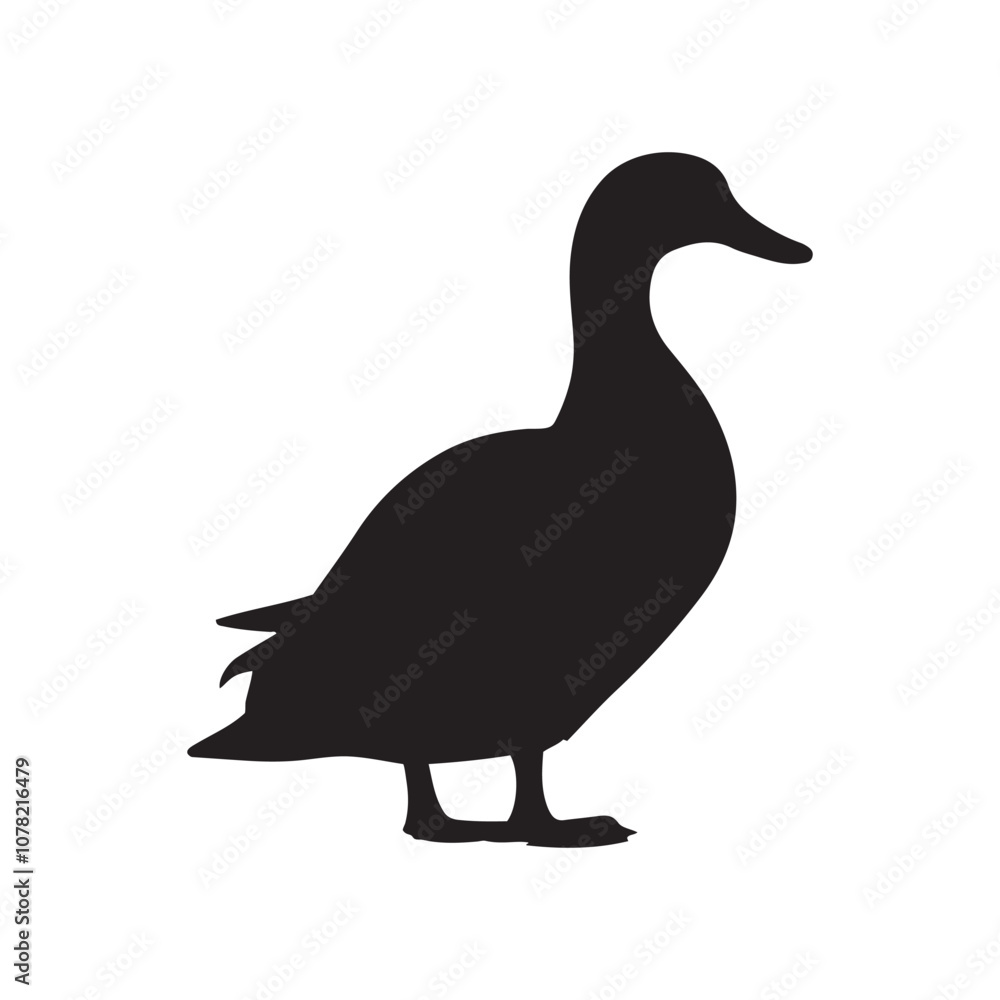 Obraz premium Duck icon. Duck black silhouette isolated on white background. Vector illustration, Domestic and wild ducks.