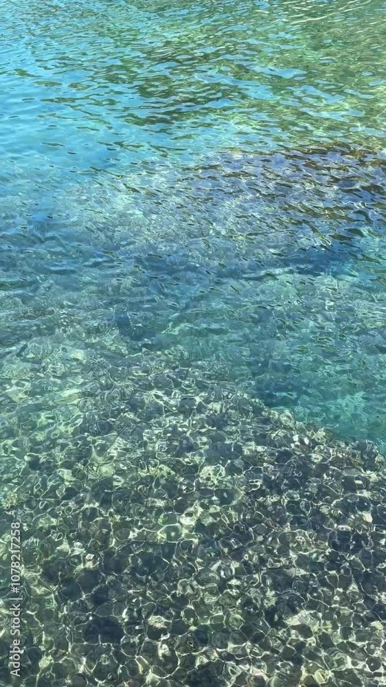 Flowing sea water surface with underwater algae background, vertical video. Flowing sea water surface with underwater algae background, vertical video.