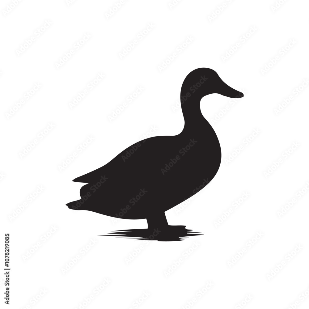 Duck icon. Duck black silhouette isolated on white background. Vector illustration, Domestic and wild ducks. Duck icon. Duck black silhouette isolated on white background. Vector illustration, Domestic and wild ducks.