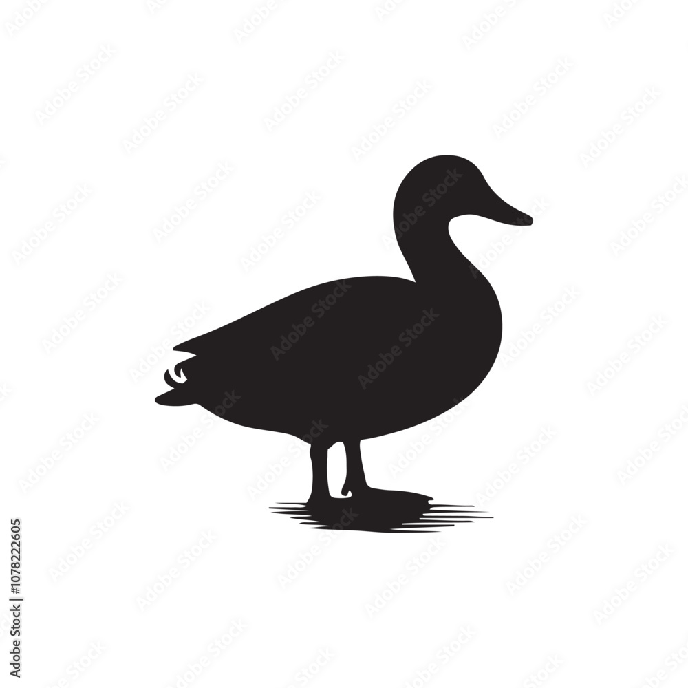 Duck icon. Duck black silhouette isolated on white background. Vector illustration, Domestic and wild ducks. Duck icon. Duck black silhouette isolated on white background. Vector illustration, Domestic and wild ducks.