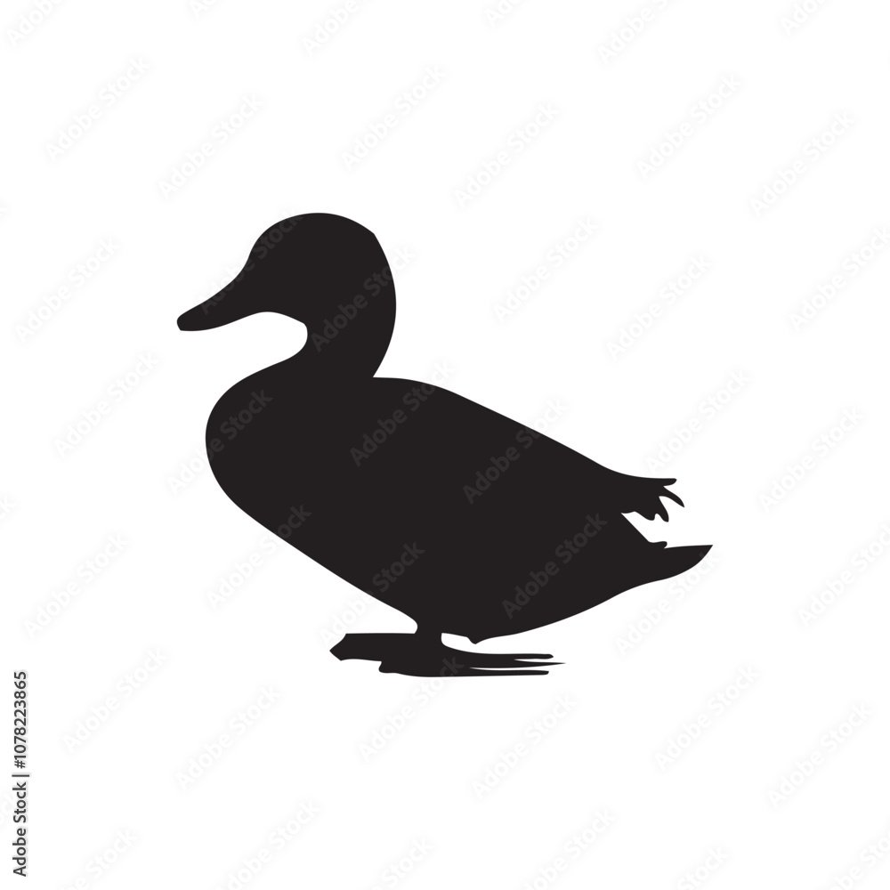 Duck icon. Duck black silhouette isolated on white background. Vector illustration, Domestic and wild ducks. Duck icon. Duck black silhouette isolated on white background. Vector illustration, Domestic and wild ducks.