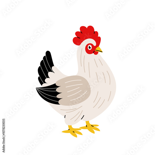 Chicken. Poultry, laying hen. Farm animal in flat style on white background.