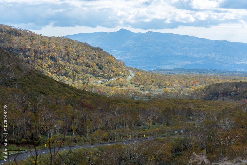 Obraz premium 紅葉の始まった山の風景