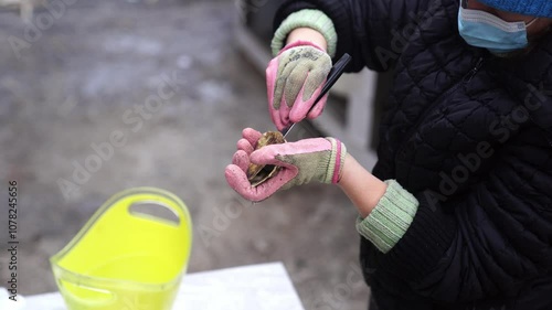 Cook opens an oyster with a knife at a table in the market. High quality 4k footage