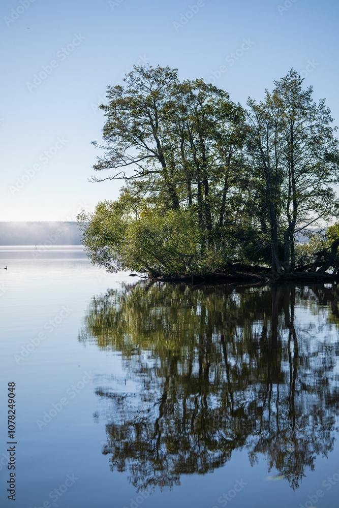 Fototapeta premium Serene lakeside view with tree reflections.
