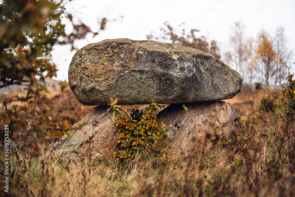 Rekonstruiertes Megalithgrab der Trichterbecherkultur in der Steinahlkenheide bei Oldendorf