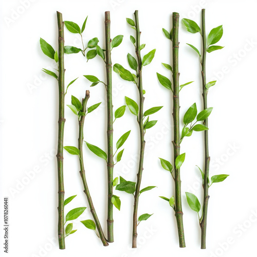 Bamboo green sticks with fresh leaves, natural and vibrant. AI generative photo