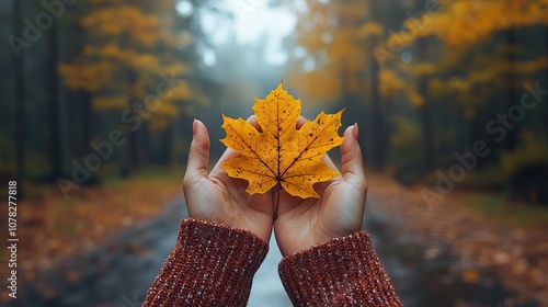 first day of fall concept