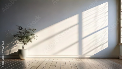 Clean white wall with soft natural morning light.