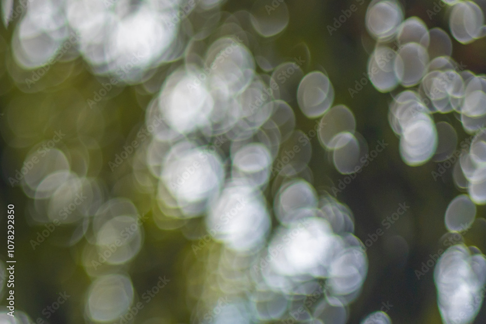 This photo is blurry and out of focus, but the bokeh and colors are beautiful with oranges, yellows, greens, and whites. It was taken in Myanmar with a high-resolution professional camera. This photo is blurry and out of focus, but the bokeh and colors are beautiful with oranges, yellows, greens, and whites. It was taken in Myanmar with a high-resolution professional camera.