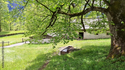 Open Air Museum Beatenberg, Switzerland photo