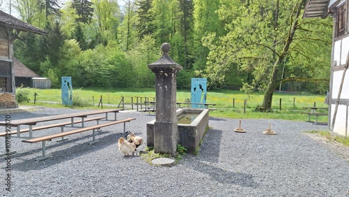 Open Air Museum Beatenberg, Switzerland photo