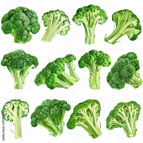 Simple flat 2D icon broccoli set isolated on transparent background, vector, flat design, animation design, vector, flat design, animation design, simple flat 2D icon, minimalist design, clipart