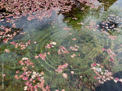 A small, clear pond seen from an outdoor studio in Mungyeong, Korea photo