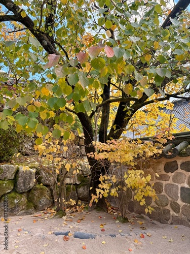 Maple leaves and stone walls seen at Bulguksa Temple in Gyeongju