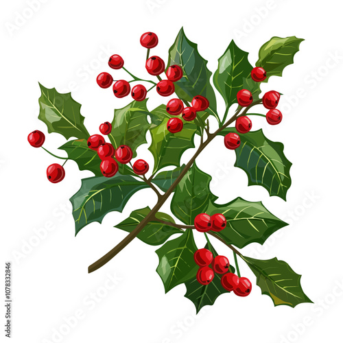 Simple flat 2D icon Christmas holly berry branch isolated on transparent background, vector, flat design, animation design, vector, flat design, animation design, simple flat 2D icon, clipart