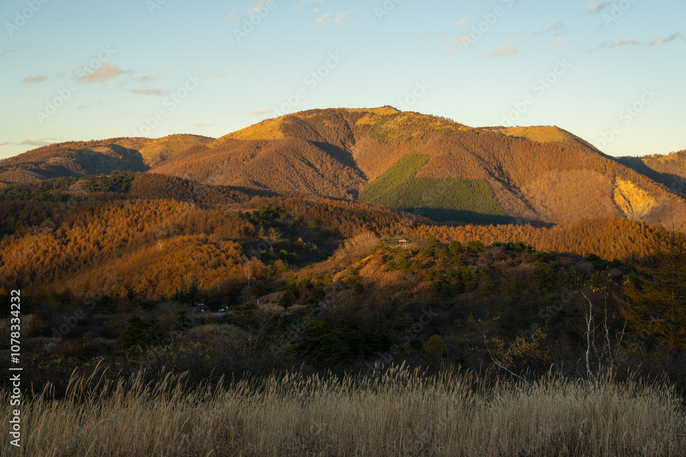 Fototapeta premium 鉢伏山