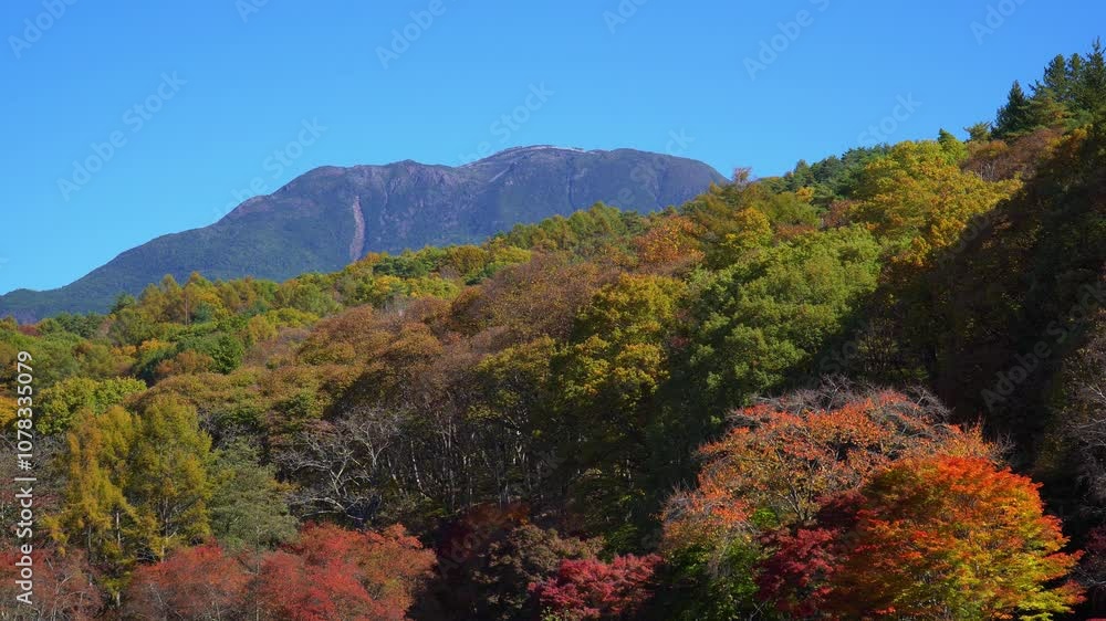 秋の蓼科湖 秋の蓼科湖