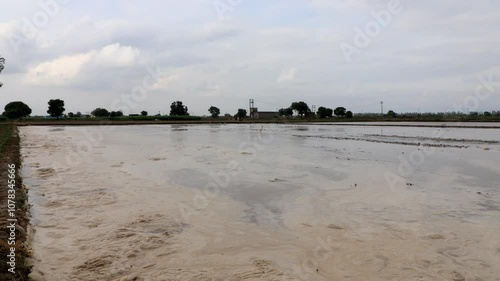 Slow Motion wide Angle Aerial View of Flooded Agricultural Fields during rainy season outdoor in nature