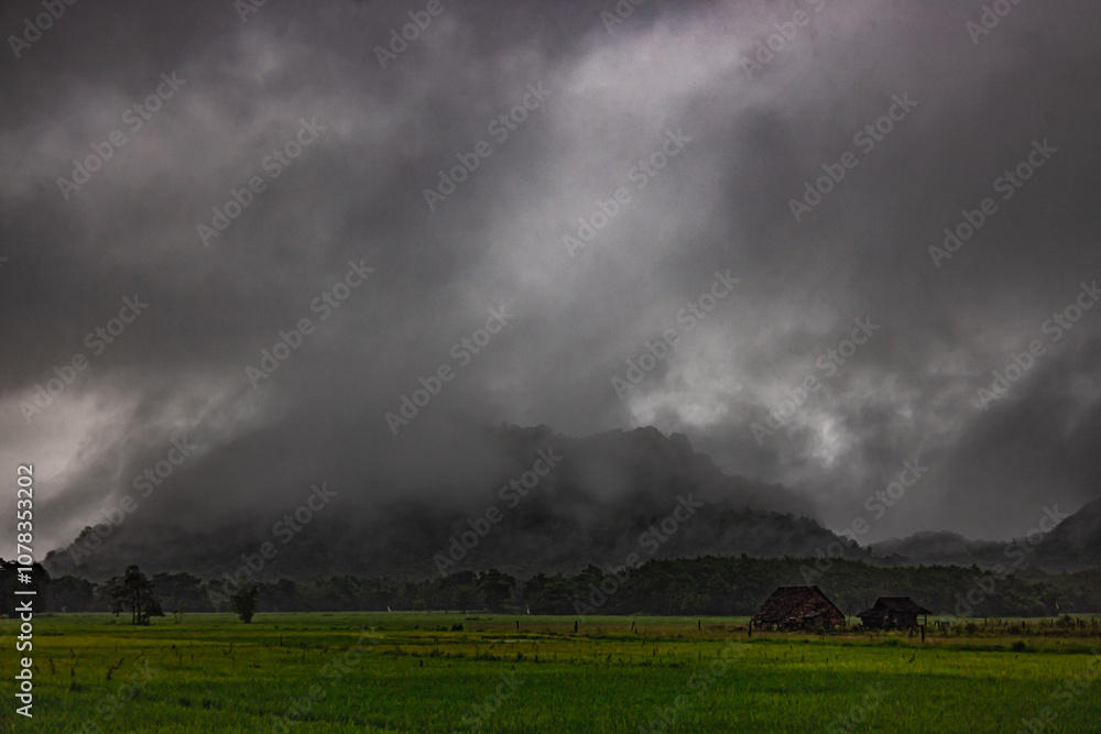 Before the rain falls, the tall mountain is covered with dark clouds. A beautiful rice field is in front of the tall mountain, making the atmosphere mysterious and interesting. Before the rain falls, the tall mountain is covered with dark clouds. A beautiful rice field is in front of the tall mountain, making the atmosphere mysterious and interesting.