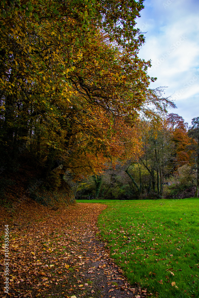 Fototapeta premium Golden autumn trees in the park
